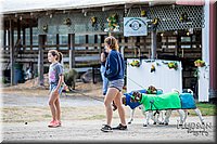 LCFAIR-081318-0564.jpg