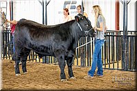 LCFAIR-081418-2085.jpg