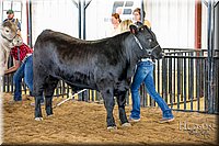 LCFAIR-081418-2086.jpg