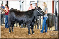 LCFAIR-081418-2087.jpg