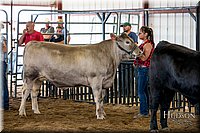 LCFAIR-081418-2091.jpg