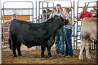 LCFAIR-081418-2093.jpg
