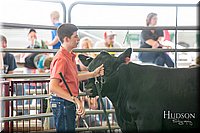 LCFAIR-081418-2094.jpg