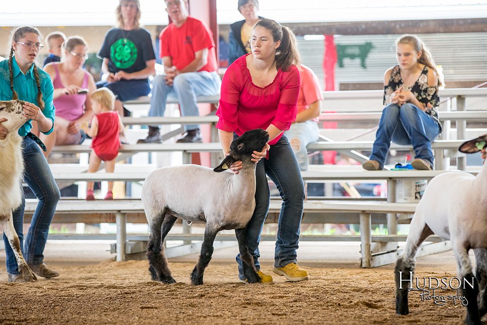 LCFAIR-081418-2247.jpg
