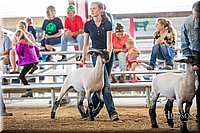 LCFAIR-081418-2243.jpg