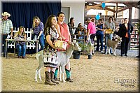 LCFAIR-081418-2630.jpg