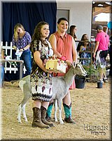 LCFAIR-081418-2632.jpg