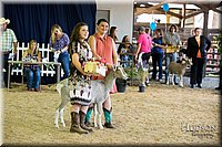 LCFAIR-081418-2633.jpg