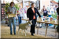 LCFAIR-081418-2639.jpg
