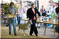 LCFAIR-081418-2640.jpg