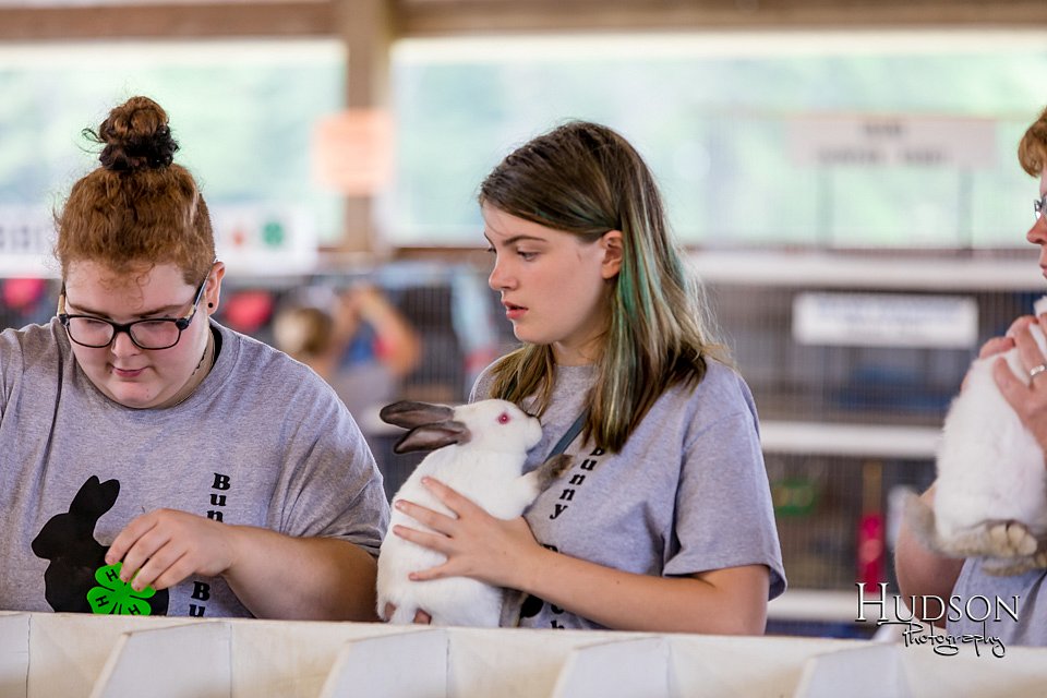 LCFAIR-081618-4346.jpg