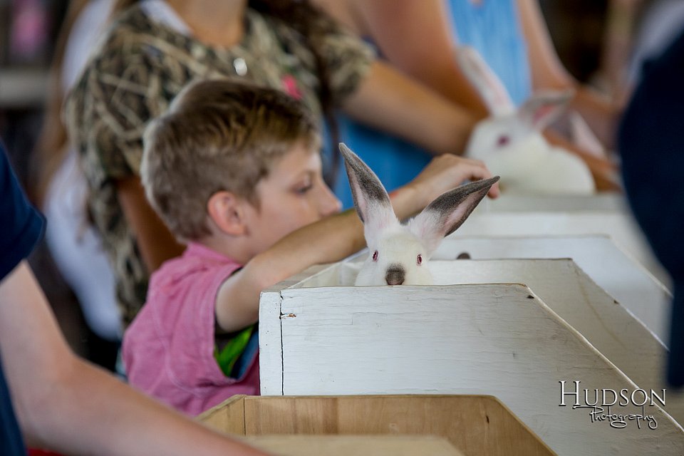 LCFAIR-081618-4375.jpg