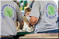 LCFAIR-081618-4354.jpg