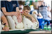 LCFAIR-081618-4355.jpg