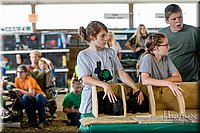 LCFAIR-081618-4367.jpg