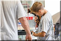 LCFAIR-081618-4370.jpg