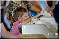 LCFAIR-081618-4375.jpg