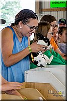 LCFAIR-081618-4662.jpg