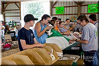 LCFAIR-081618-4663.jpg