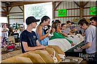 LCFAIR-081618-4672.jpg
