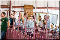LCFAIR-081618-5255.jpg
