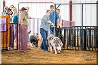 LCFAIR-081618-5145.jpg