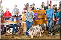 LCFAIR-081618-5146.jpg