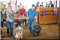 LCFAIR-081618-5147.jpg