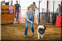 LCFAIR-081618-5150.jpg
