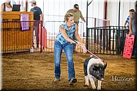 LCFAIR-081618-5151.jpg