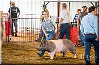 LCFAIR-081618-5152.jpg