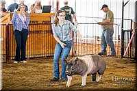 LCFAIR-081618-5153.jpg