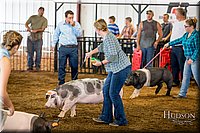 LCFAIR-081618-5155.jpg