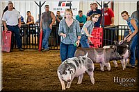 LCFAIR-081618-5158.jpg
