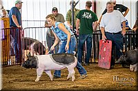 LCFAIR-081618-5160.jpg