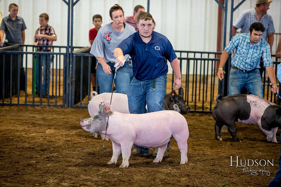 LCFAIR-081618-5191.jpg