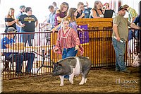 LCFAIR-081618-5178.jpg