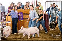 LCFAIR-081618-5180.jpg