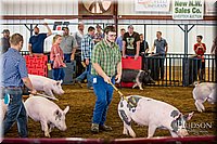 LCFAIR-081618-5189.jpg
