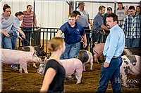 LCFAIR-081618-5190.jpg