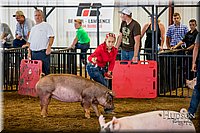 LCFAIR-081618-5262.jpg