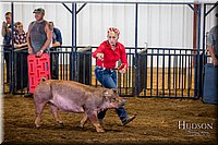 LCFAIR-081618-5263.jpg