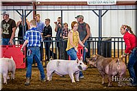 LCFAIR-081618-5264.jpg
