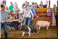 LCFAIR-081618-5268.jpg