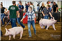 LCFAIR-081618-5386.jpg