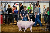 LCFAIR-081618-5387.jpg