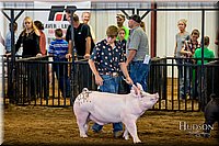 LCFAIR-081618-5388.jpg