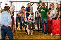 LCFAIR-081618-5390.jpg