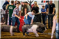 LCFAIR-081618-5392.jpg