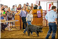 LCFAIR-081618-5396.jpg